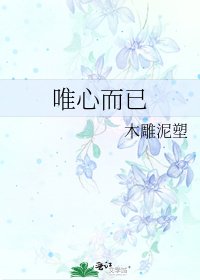 唯心而已